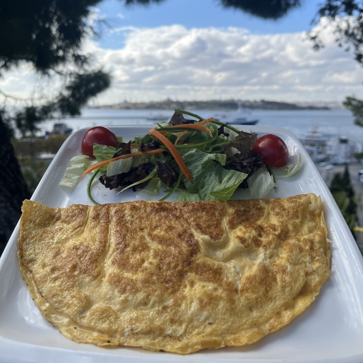  Omletler & Omelettes