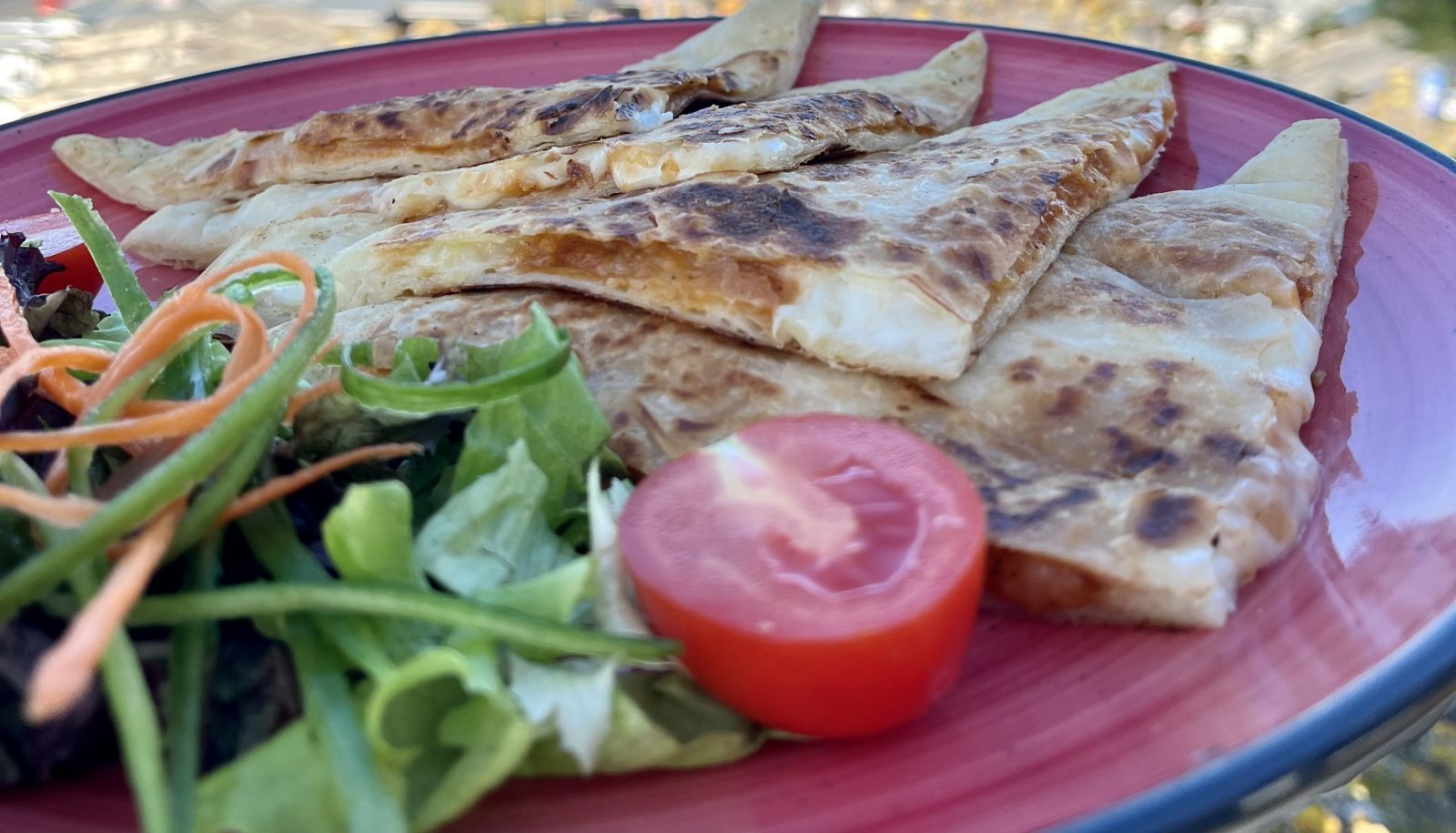 GÖZLEMELER